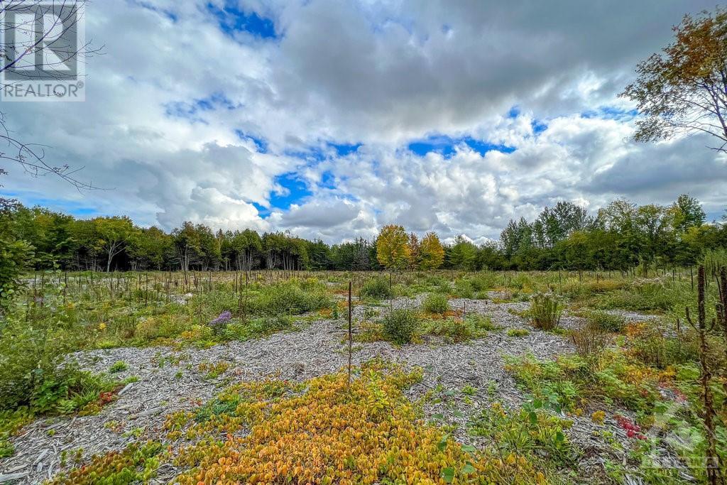 Listing 1315434 - Large Photo # 15