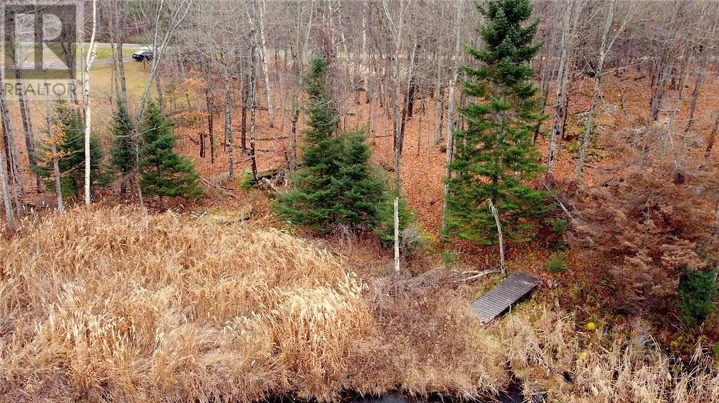 Listing 1320035 - Large Photo # 6