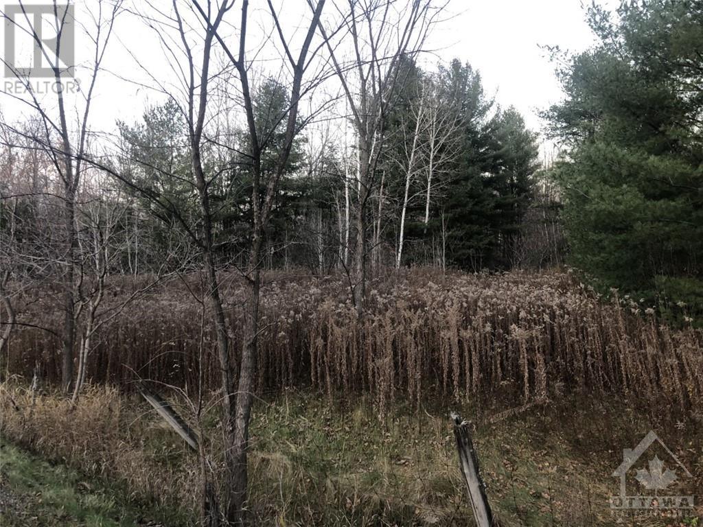 Listing 1320667 - Large Photo # 4