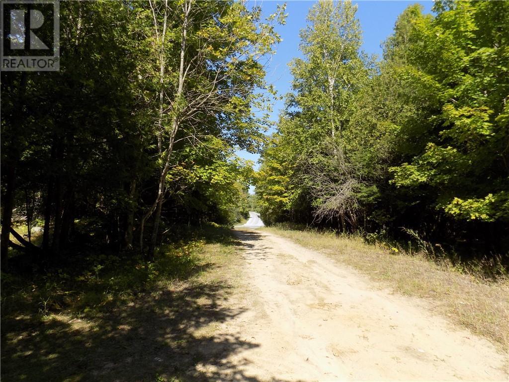 Listing 1320818 - Large Photo # 6