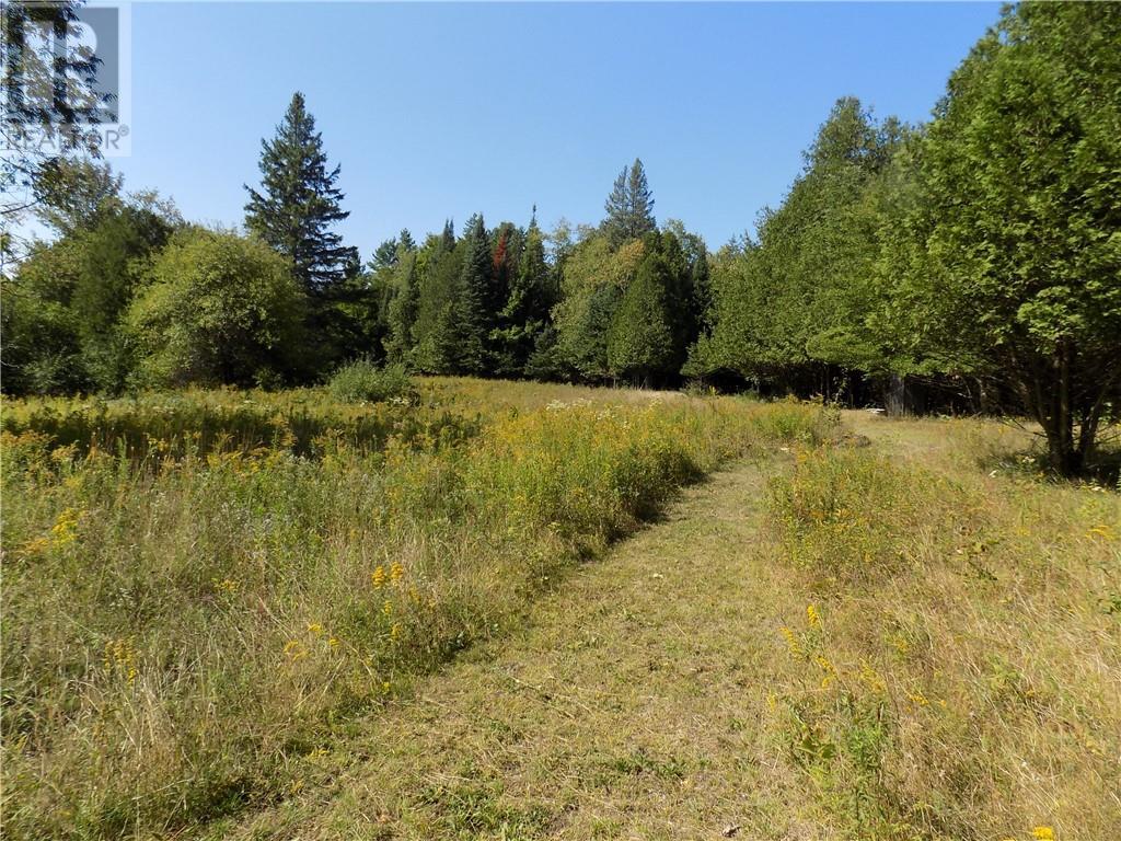 Listing 1320818 - Large Photo # 15