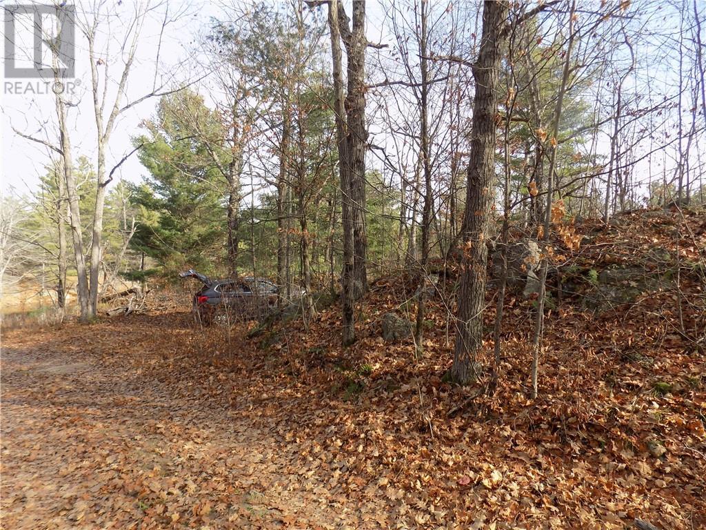 Listing 1320818 - Large Photo # 13