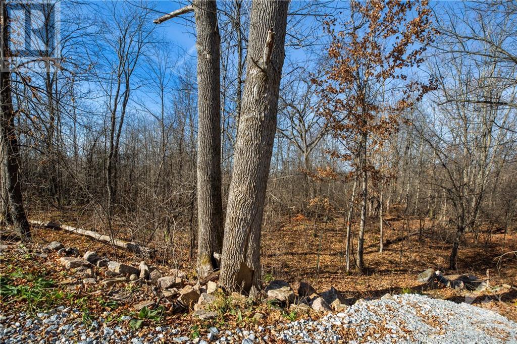 Listing 1321210 - Large Photo # 8