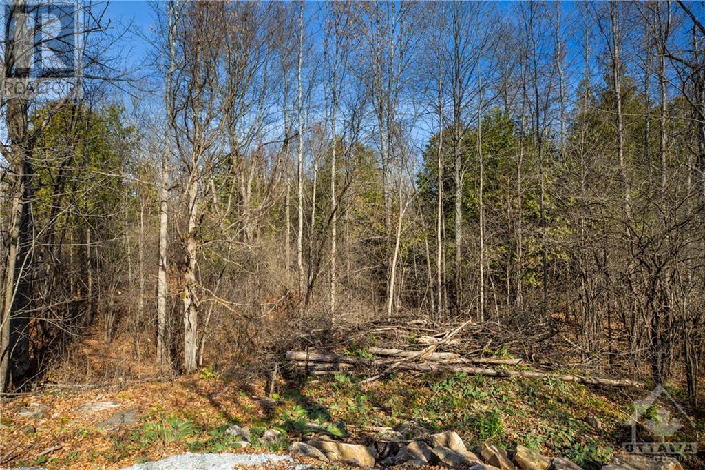 Listing 1321210 - Large Photo # 7