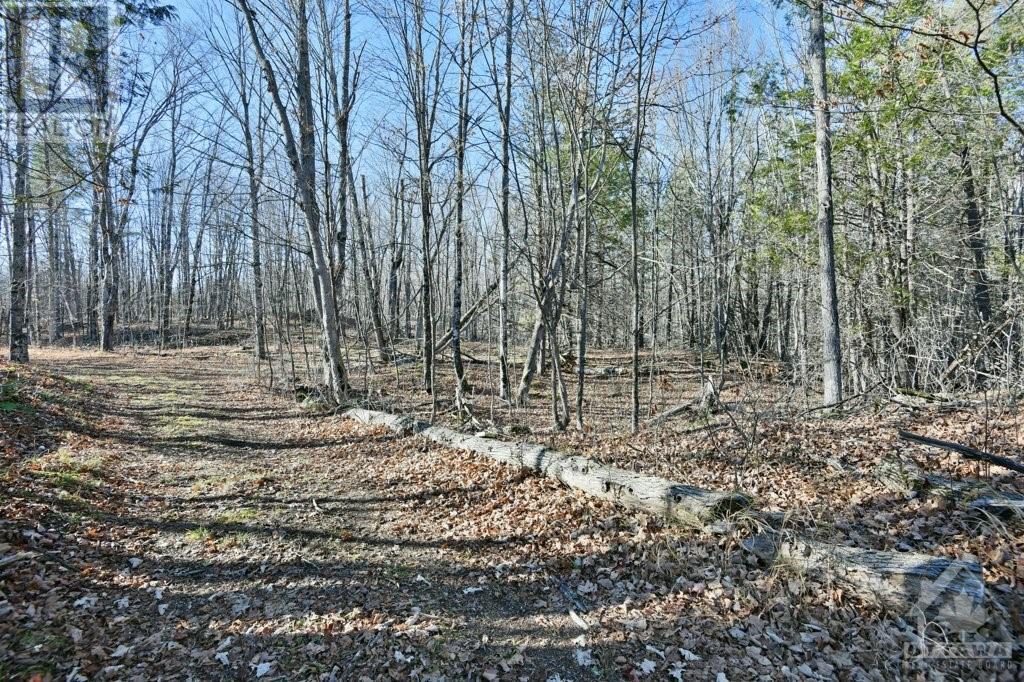 Listing 1321248 - Large Photo # 13