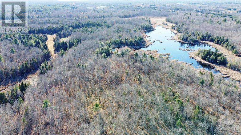 Listing 1321248 - Large Photo # 6