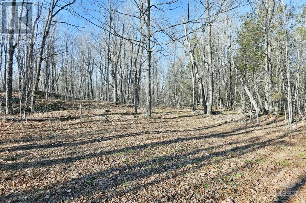 Listing 1321248 - Large Photo # 3