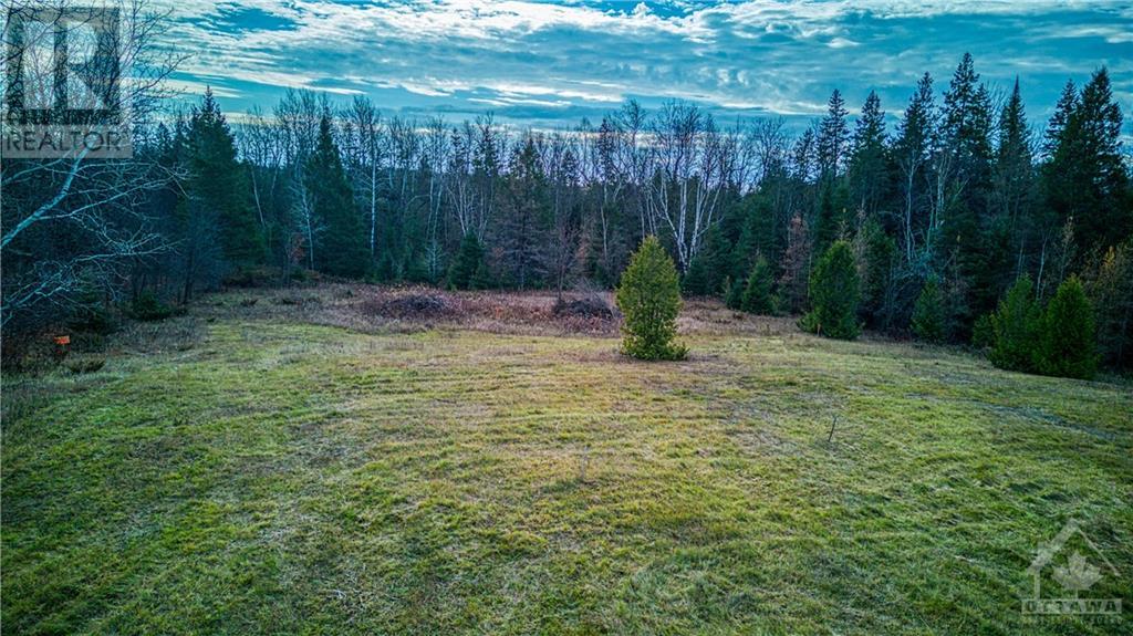 Listing 1321326 - Large Photo # 16
