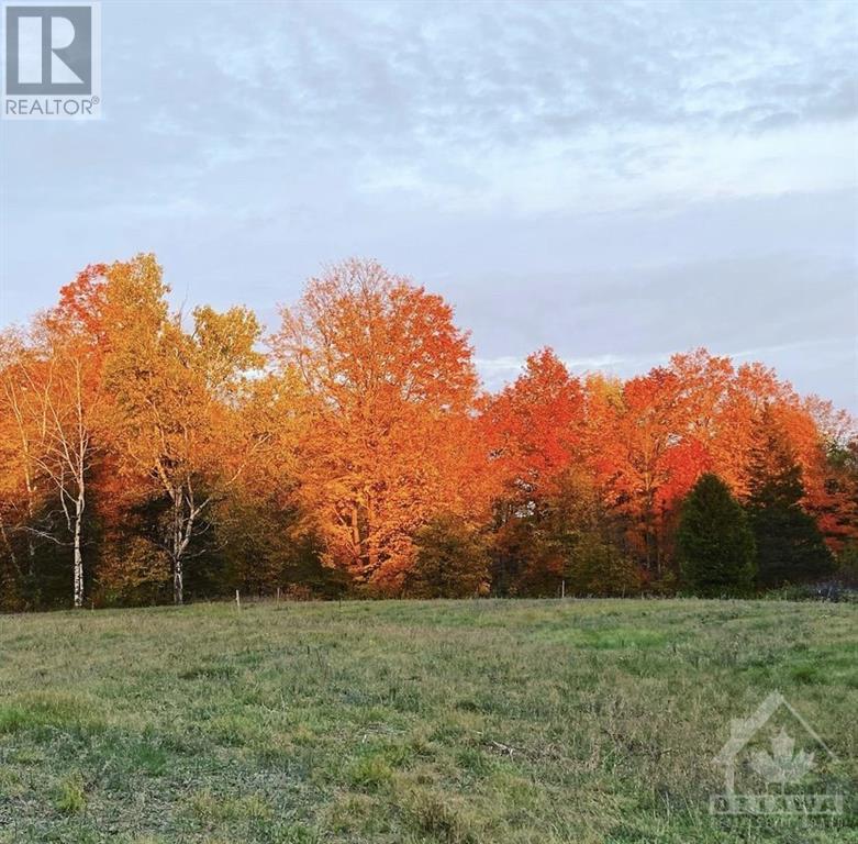 Listing 1321326 - Large Photo # 10