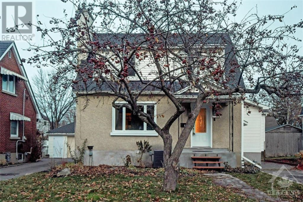 559 REDWOOD AVENUE, Ottawa