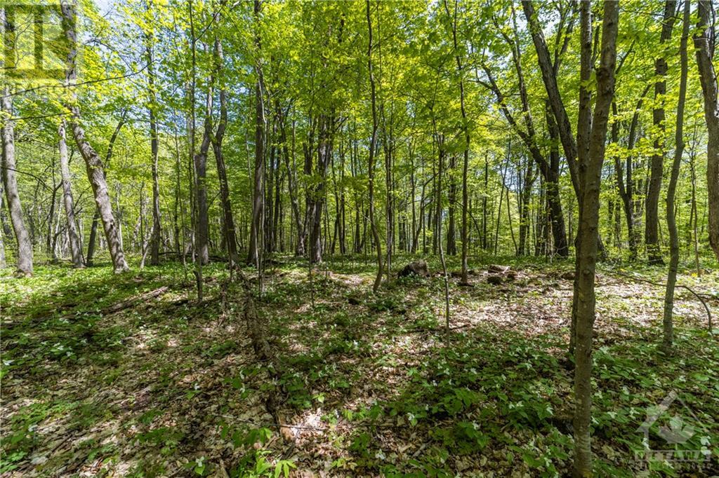 Listing 1329824 - Large Photo # 10