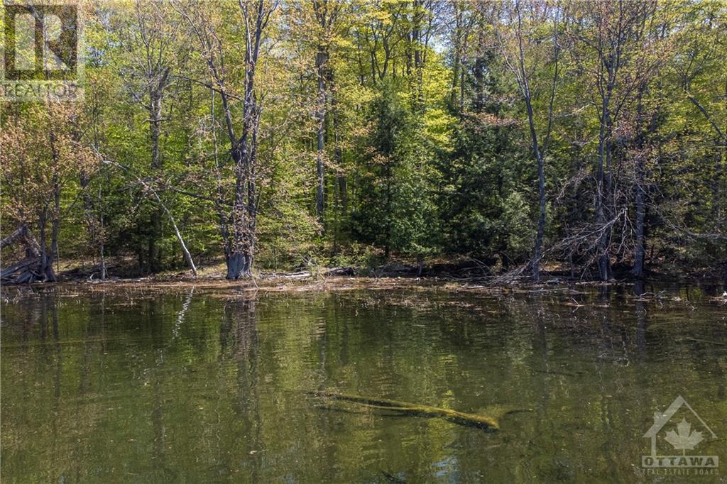 Listing 1329824 - Large Photo # 13