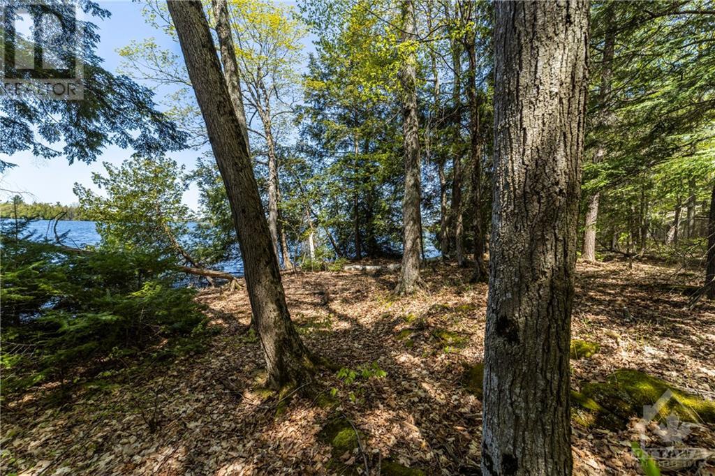 Listing 1329824 - Large Photo # 3