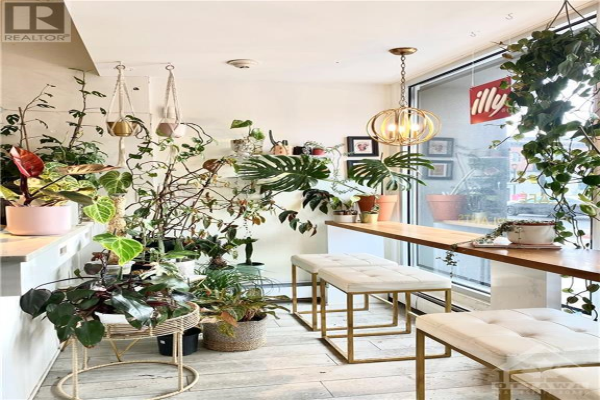 329A ELGIN STREET, Ottawa