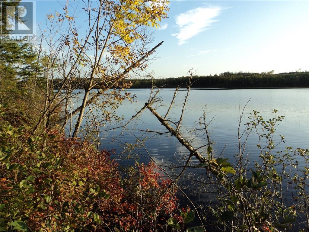 Listing 1330283 - Large Photo # 7