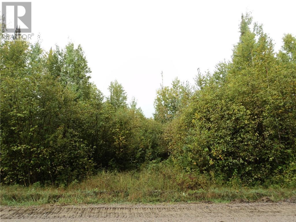 Listing 1330283 - Large Photo # 8