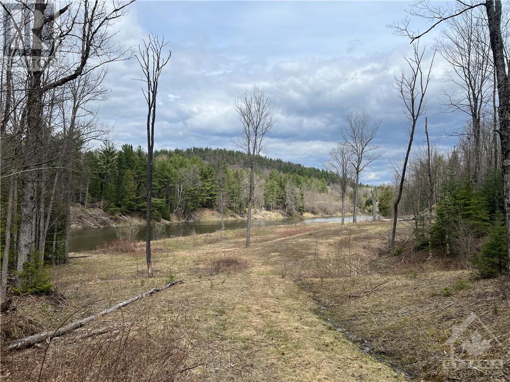 Listing 1332368 - Large Photo # 4