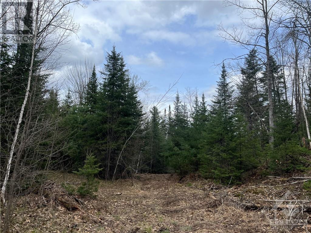 Listing 1332368 - Large Photo # 5