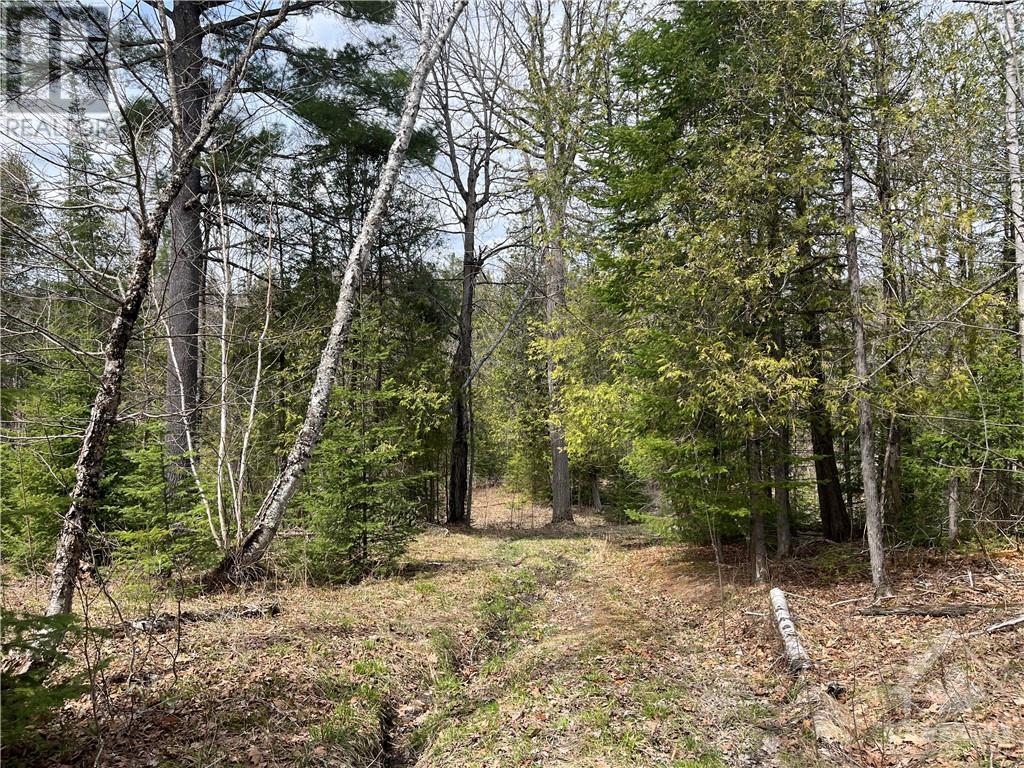 Listing 1332368 - Large Photo # 15