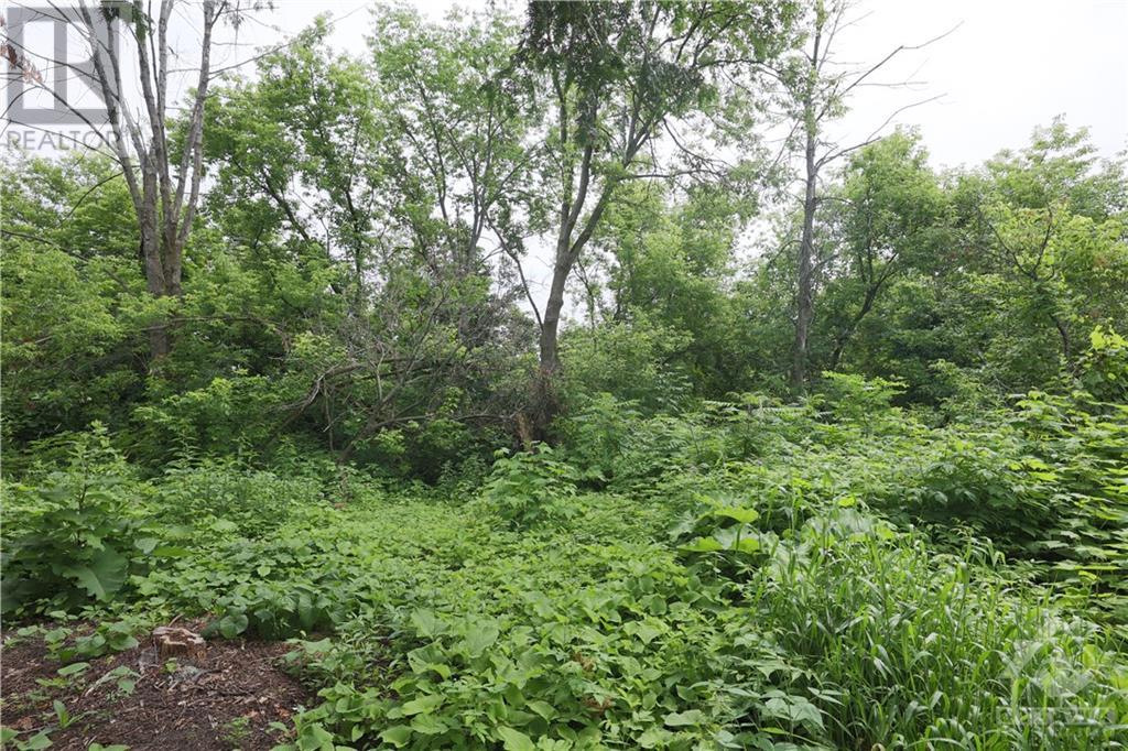 Listing 1332684 - Large Photo # 12