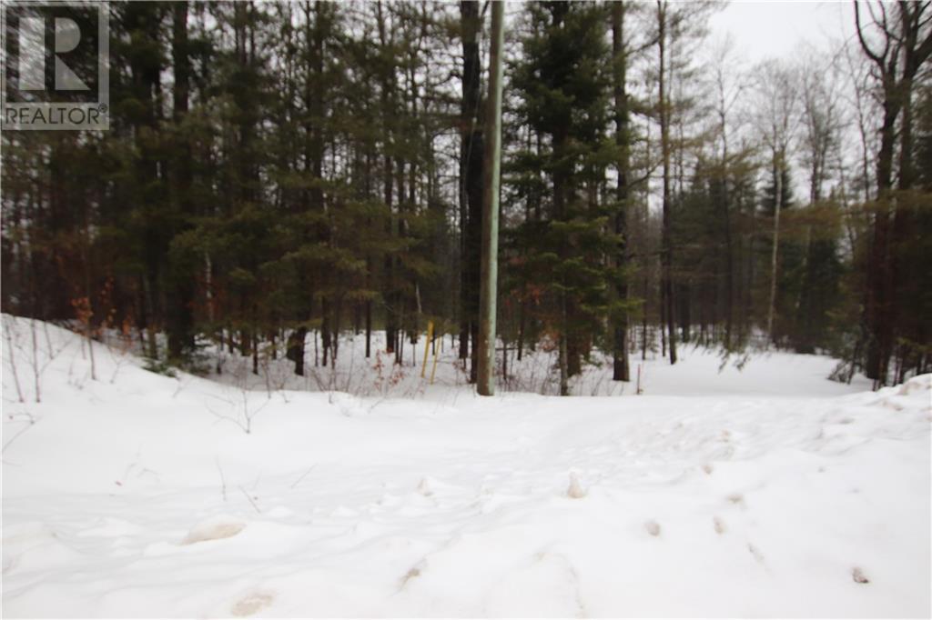 Listing 1333468 - Large Photo # 7