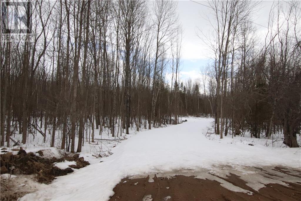 Listing 1333496 - Large Photo # 6