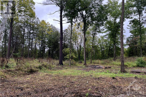 446 CAMPBELL DRIVE, Arnprior