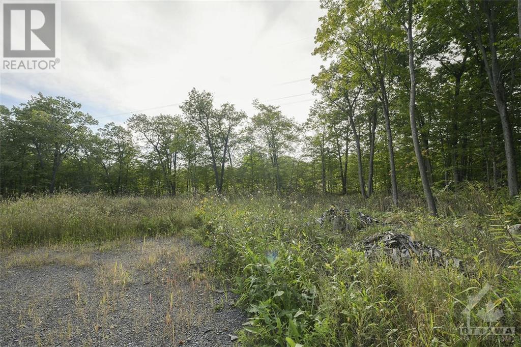 Listing 1335609 - Large Photo # 6