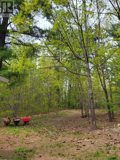 Listing 1336418 - Large Photo # 29