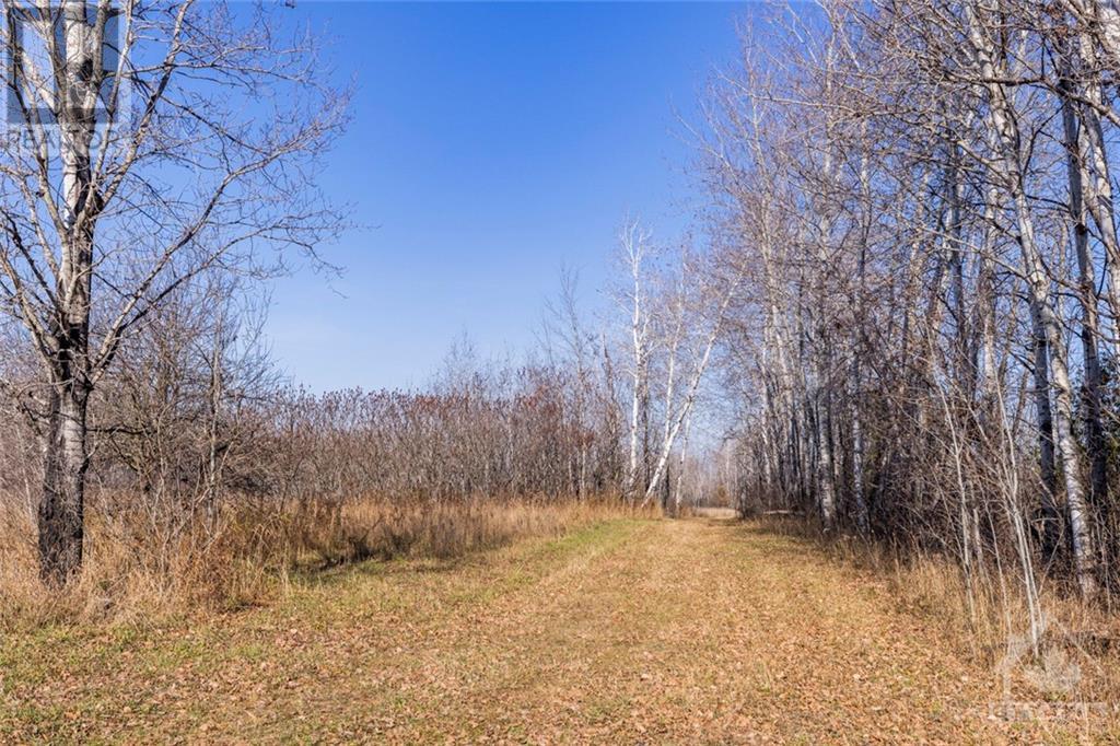 Listing 1336421 - Large Photo # 28