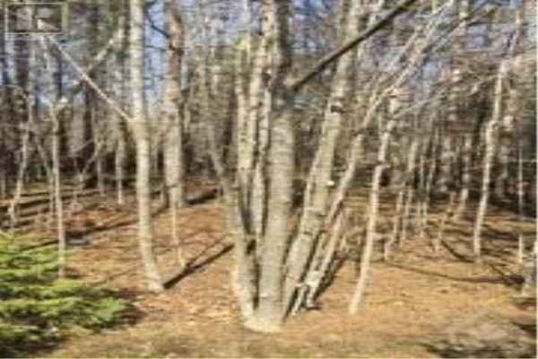 PT LOT 13 BOUVIER ROAD, Hammond