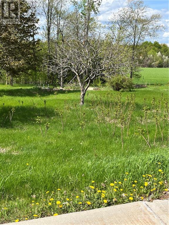 Listing 1341898 - Large Photo # 4