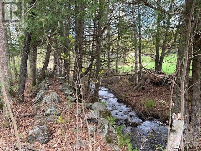 Listing 1342972 - Large Photo # 15