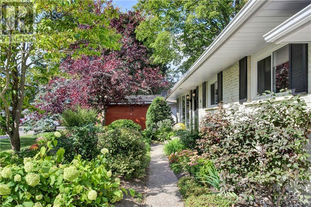 6 ASCOT AVENUE