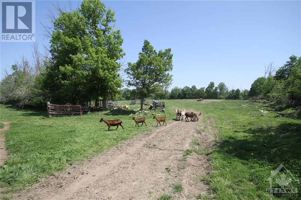 Listing 1355840 - Large Photo # 20