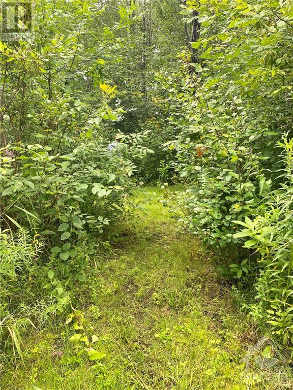 Listing 1356611 - Large Photo # 4