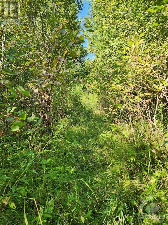 COUNTY RD 18 ROAD