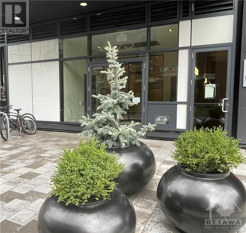 203 CATHERINE STREET UNIT#1102, #1102