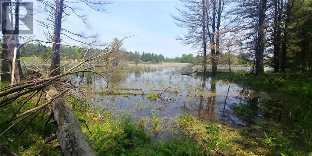 LOT 21 OLD RIVER ROAD