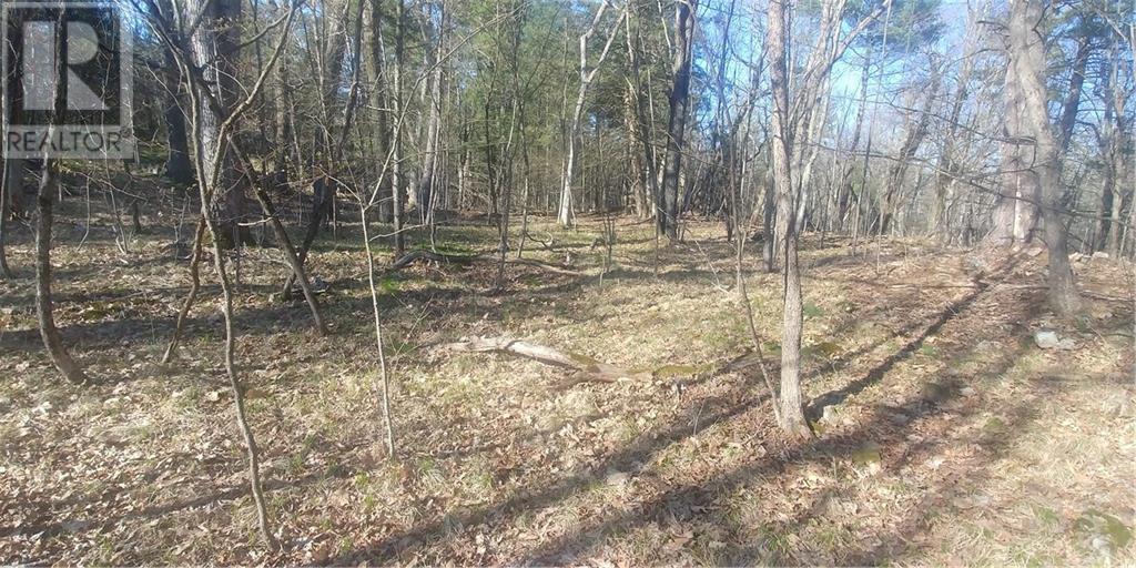 LOT 21 OLD RIVER ROAD