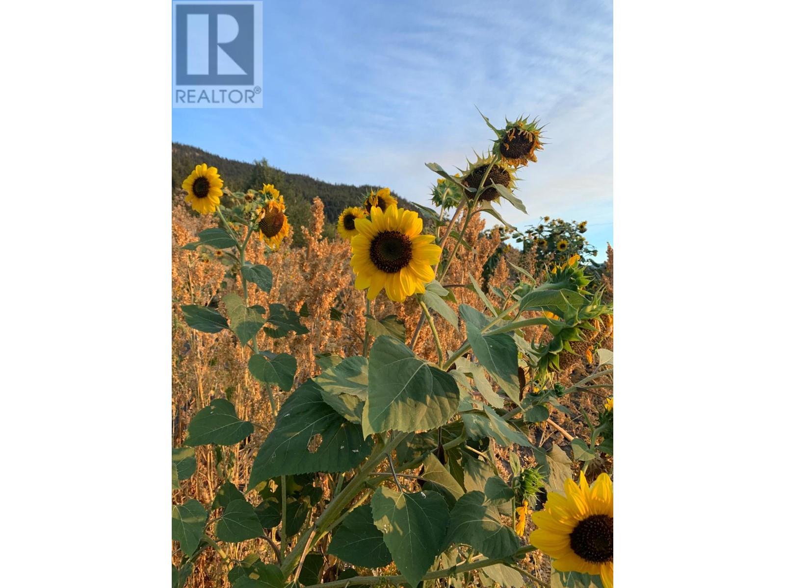 Listing 171772 - Large Photo # 81