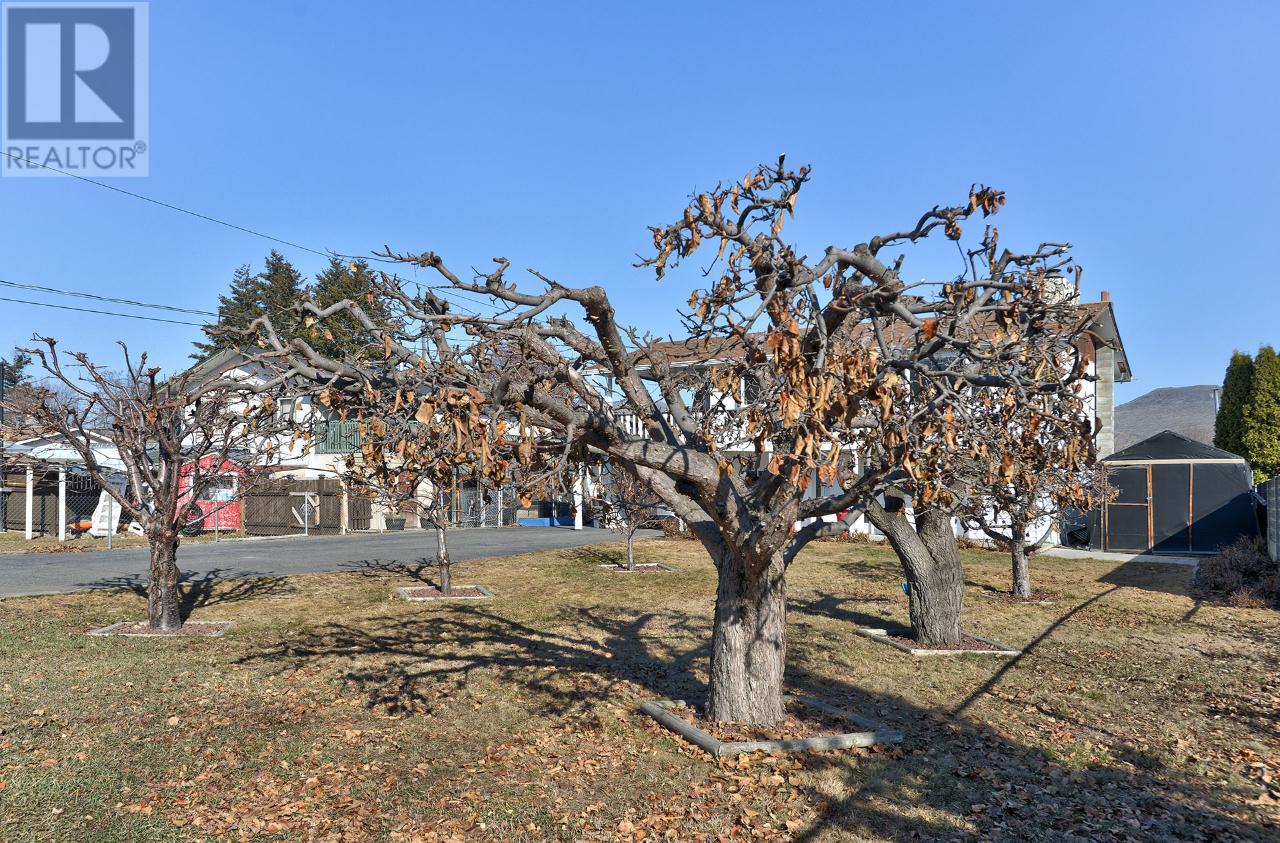 Listing 171862 - Large Photo # 41