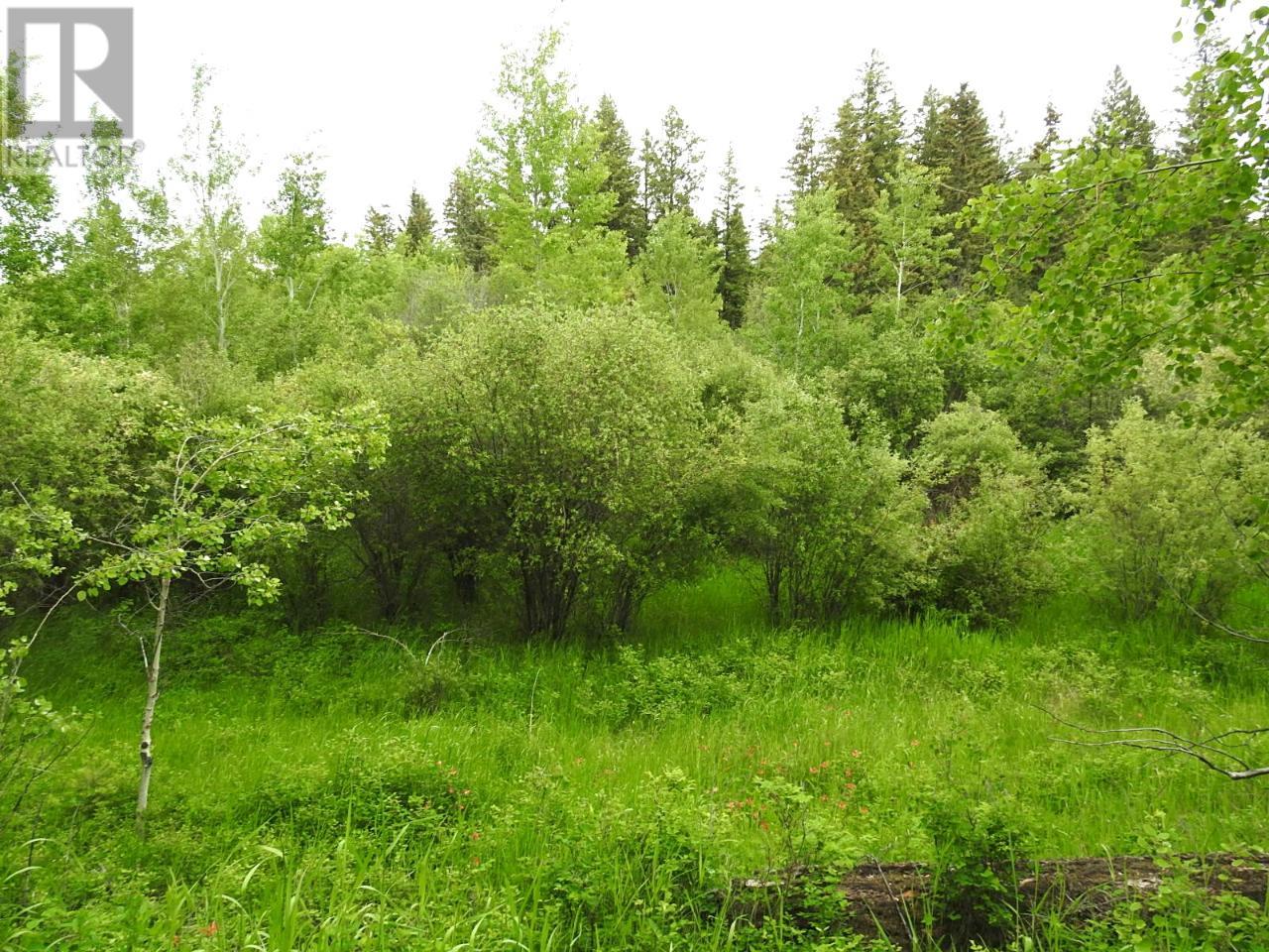 Listing 171878 - Large Photo # 13