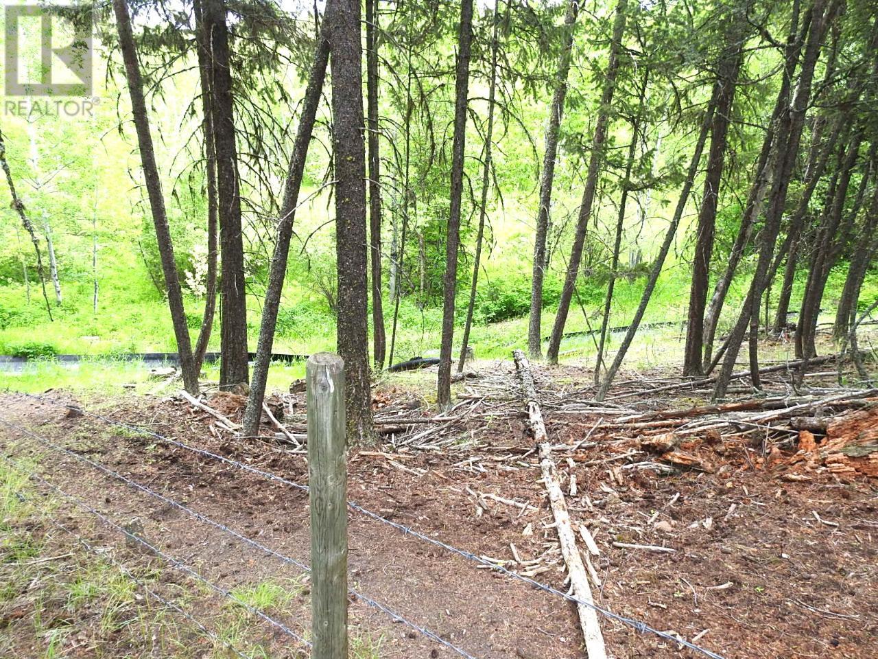 Listing 171878 - Large Photo # 9
