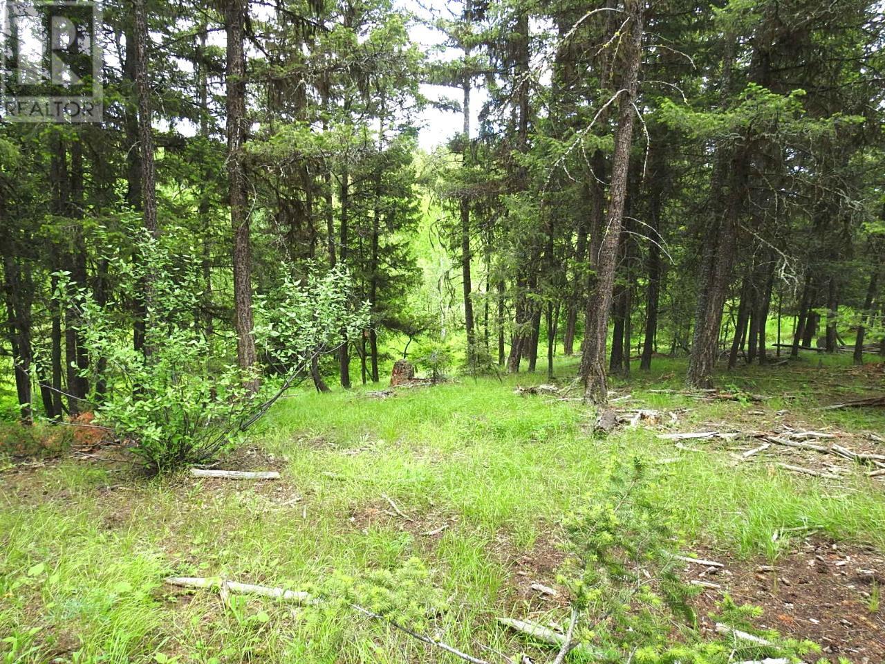 Listing 171878 - Large Photo # 8