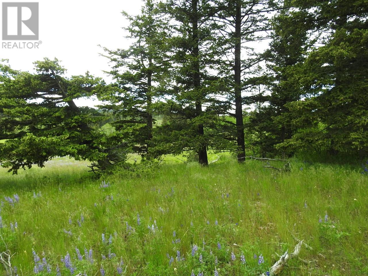Listing 171878 - Large Photo # 1