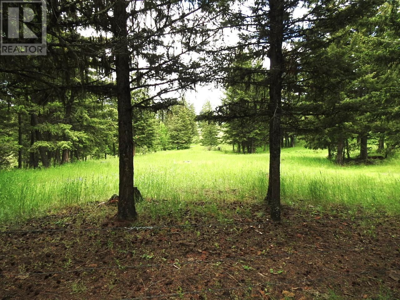Listing 171878 - Large Photo # 7