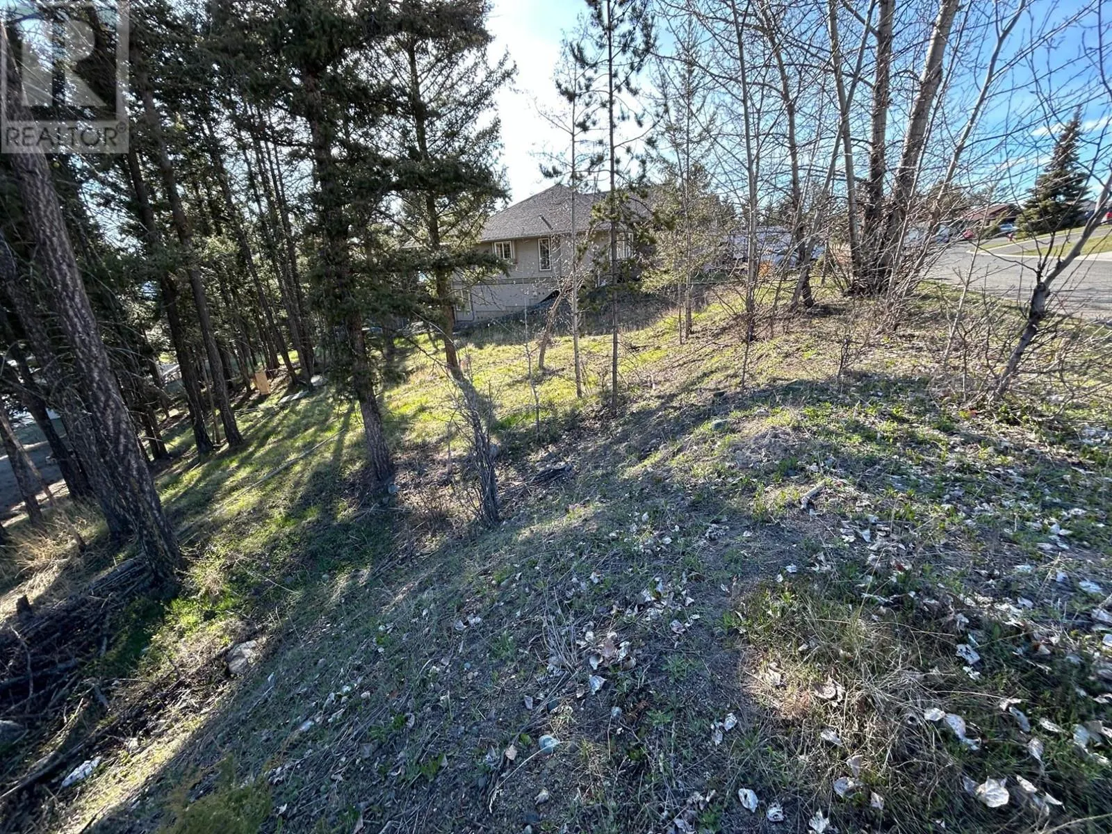 274 CALCITE Drive