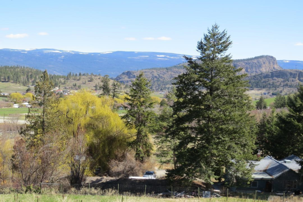 16109 DALE MEADOWS Road,, Summerland