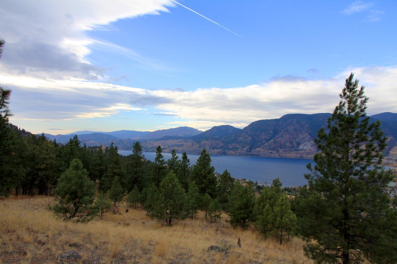 Listing 194266 - Large Photo # 11